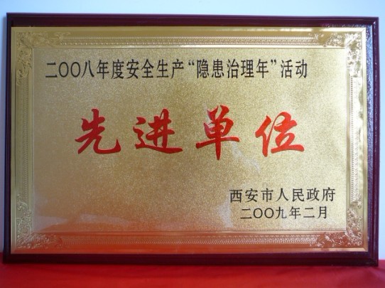 2009年2月，被西安市人民政府評(píng)為2008年度安全生產(chǎn)“隱患治理年”活動(dòng)先進(jìn)單位