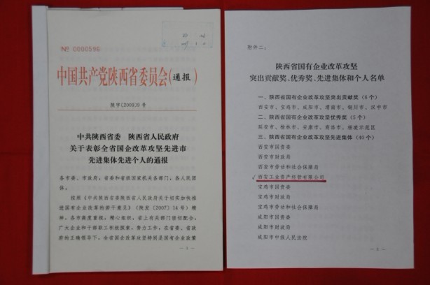 2009年2月，被陜西省委、省政府授予陜西省國(guó)有企業(yè)改革攻堅(jiān)先進(jìn)集體