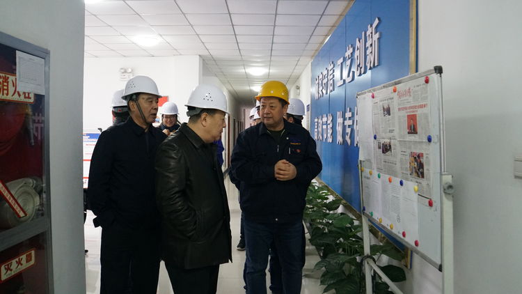 集團領導金輝帶隊赴標準電梯、標準熱處理進行工作調研