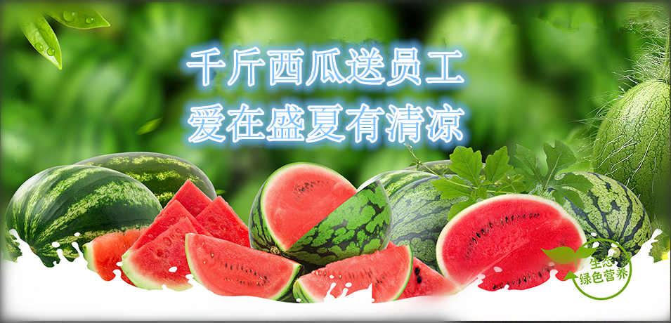 通達(dá)軟件公司： 千斤西瓜送員工，愛在盛夏有清涼